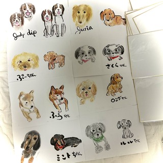 5EF926D6-F458-49F2-BD39-EC0EFE1638A0.jpeg