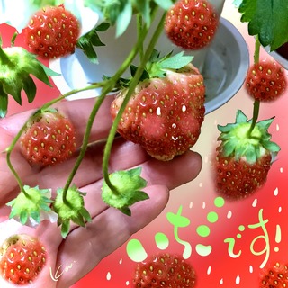 BD6E34AB-E0BE-482B-A0BB-3CD52C80B20A.jpeg