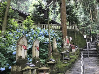 IMG_4453.jpg