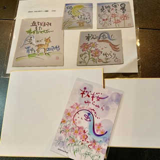 IMG_5270.jpeg