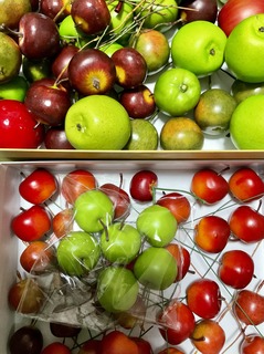 IMG_5857.jpeg