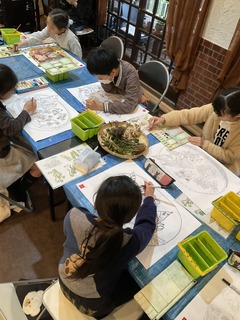 IMG_7566.jpeg
